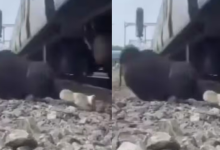 Photo of रील का शौक पड़ा भारी, ट्रैक के बिल्कुल पास चल रहा युवक, तेज रफ्तार ट्रेन से हुई टक्कर