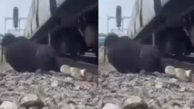 Photo of रील का शौक पड़ा भारी, ट्रैक के बिल्कुल पास चल रहा युवक, तेज रफ्तार ट्रेन से हुई टक्कर