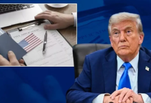 Photo of ‘H-1B वीजा पर लगा बैन तो अमेरिका को होगा भारी नुकसान’, ट्रंप के दांव पर बोले एक्सपर्ट