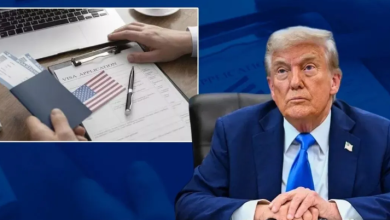 Photo of ‘H-1B वीजा पर लगा बैन तो अमेरिका को होगा भारी नुकसान’, ट्रंप के दांव पर बोले एक्सपर्ट