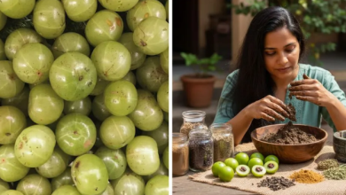 Photo of सफेद बाल होंगे नेचुरली काले, बस आंवले से बना लें यह हेयर डाई