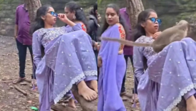 Photo of कैमरे के सामने रील बना रही थी लड़की, तभी बंदर ने मारी झपट