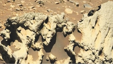 Photo of मंगल परनासाने खोजा रहस्यमय ‘एलियन पत्थर’, ग्रह की प्राकृतिक बनावट से बिल्कुल अलग