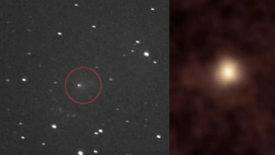Photo of क्या ये एलियन है? धरती के पास दिखा अनोखा नजारा, NASA ने ली तस्वीरें