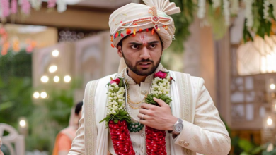 Photo of बरात में मचा हड़कंप, घोड़ा अचानक दो टांगों पर दौड़ा, फिर जो हुआ… 