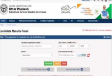 Photo of इस वेबसाइट upsssc.gov.in पर एक्टिव होगा यूपी पीईटी का रिजल्ट