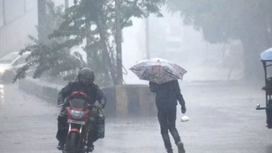 Photo of राजस्थान में उत्तरी-पश्चिमी हवाओं के असर से ठंड बढ़ी, बारिश का अलर्ट जारी