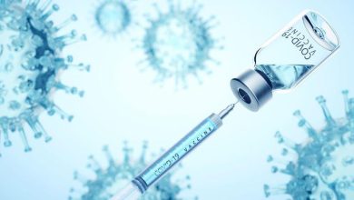 Photo of बर्ड फ्लू वायरस पर बेअसर हो रहा शरीर का ‘सुरक्षा कवच’ जानें केसे