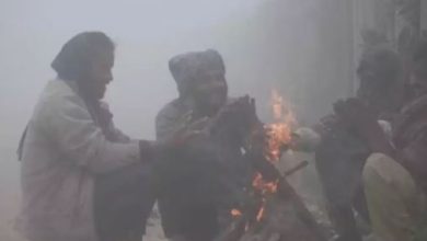 Photo of एमपी में 15 दिन से कड़ाके की ठंड, आज इन 7 जिलों में शीतलहर का अलर्ट