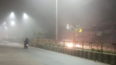 Photo of मध्य प्रदेश में रिकॉर्डतोड़ ठंड, 12 शहर में पारा 10 डिग्री से नीचे