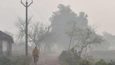 Photo of हरियाणा में तेजी से गिर रहा तापमान, पड़ने वाली है कड़ाके की ठंड