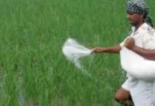 Photo of हरियाणा में खाद वितरण को लेकर बदली व्यवस्था