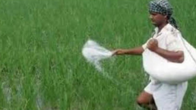 Photo of हरियाणा में खाद वितरण को लेकर बदली व्यवस्था