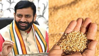 Photo of हरियाणा में गेहूं की बुआई 90 फीसद पूरी, इस वजह से बढ़ी किसानों की खुशी