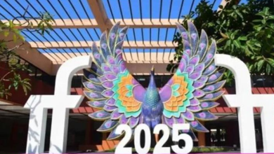 Photo of हरियाणा की झांकी ने अंतर्राष्ट्रीय फिल्म महोत्सव गोवा में बिखेरी अपनी संस्कृति की छटा