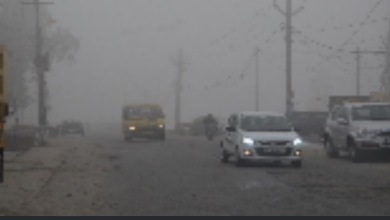 Photo of राजस्थान में बारिश के बाद बढ़ी ठंड, कई जिलों में घने कोहरे का अलर्ट