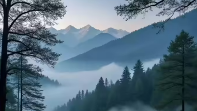 Photo of उत्तराखंड में दिन में चटक धूप तो रात में ठिठुरन भरी ठंड