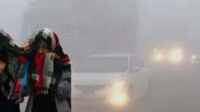 Photo of मध्य प्रदेश में ठंड ने फिर पकड़ी रफ्तार
