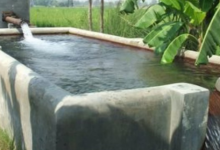 Photo of दिल्ली के भूजल में यूरेनियम का स्तर सुरक्षित मानक से अधिक