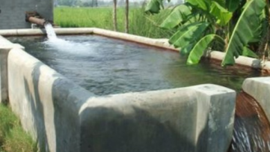 Photo of दिल्ली के भूजल में यूरेनियम का स्तर सुरक्षित मानक से अधिक