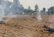 Photo of पंजाब के चार शहरों की हवा खराब: पराली जलाने के मामले 2500 के पार