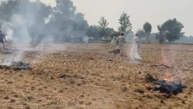 Photo of पंजाब के चार शहरों की हवा खराब: पराली जलाने के मामले 2500 के पार