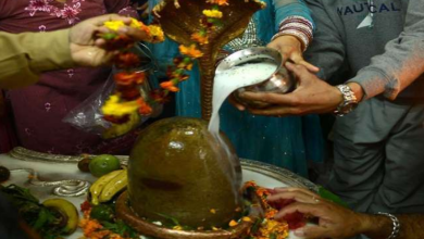 Photo of उत्पन्ना एकादशी के दिन शिवलिंग पर चढ़ाएं ये चीजें