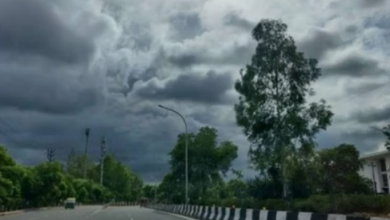 Photo of मध्यप्रदेश में बढ़ने लगी सर्दी, कई जिलों में आज हल्की बारिश के आसार