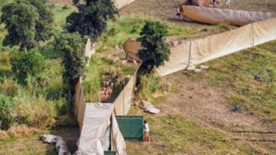 Photo of एमपी: हेलीकॉप्टर से पहली बार चला अनोखा रेस्क्यू अभियान