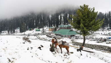 Photo of भारी बर्फबारी से मुगल रोड और श्रीनगर-लेह हाईवे, राजदान दर्रा बंद