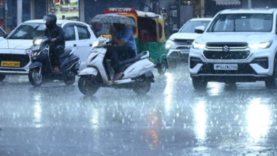 Photo of एमपी में नवंबर में भी होगी बारिश, आज कई जिलों में तेज बारिश का अलर्ट