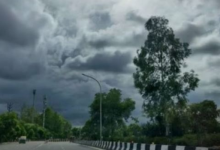 Photo of बर्फीली हवाओं ने बढ़ाई ठंड, मध्यप्रदेश में पारा 6 डिग्री तक लुढ़का