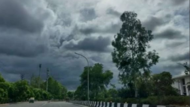 Photo of बर्फीली हवाओं ने बढ़ाई ठंड, मध्यप्रदेश में पारा 6 डिग्री तक लुढ़का