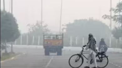 Photo of बर्फीली हवाओं से राजस्थान में ठंड ने पकड़ी रफ्तार