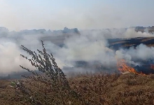 Photo of पंजाब में बढ़ा प्रदूषण: पराली जलाने के 100 नए मामले