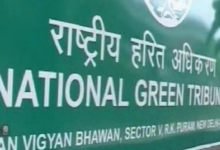 Photo of अवैध रूप से पेड़ों की कटाई-छंटाई के मामले में निगम को कड़ी फटकार