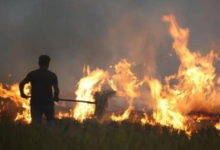 Photo of हरियाणा में पराली जलाने के मामले में 77 फीसदी गिरावट