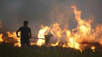 Photo of हरियाणा में पराली जलाने के मामले में 77 फीसदी गिरावट