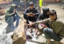 Photo of शिमला से ठंडी हिसार, गुरुग्राम व महेंद्रगढ़ की रातें