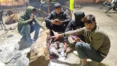 Photo of शिमला से ठंडी हिसार, गुरुग्राम व महेंद्रगढ़ की रातें