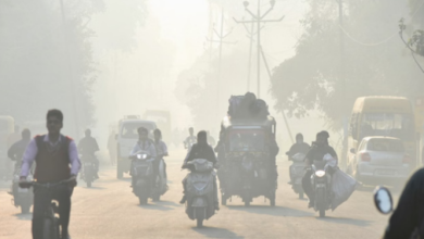 Photo of राजस्थान में सर्दी ने दिखाई तीखी दस्तक, 12 जिलों में पारा 10 डिग्री से नीचे