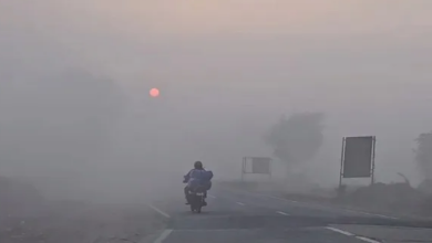 Photo of राजस्थान में समय से पहले बढ़ी सर्दी, फतेहपुर सबसे ठंडा