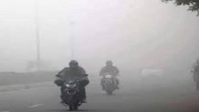 Photo of पंजाब में ठंड को लेकर मौसम विभाग ने जारी किया नया अलर्ट