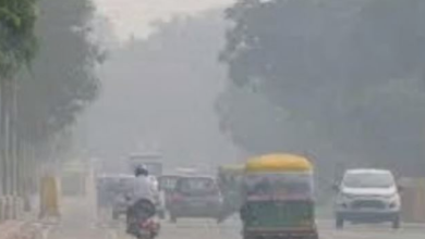 Photo of भोपाल-इंदौर में बढ़ी सर्दी से कोल्ड वेव का अलर्ट