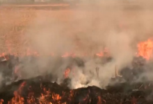 Photo of पंजाब में एक दिन में 442 जगह जली पराली, सूबे में अब तक 2084 मामले दर्ज