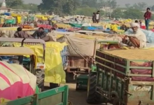 Photo of  रायसेन: मंडी में धान की भारी आवक से बढ़ी परेशानी