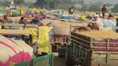 Photo of  रायसेन: मंडी में धान की भारी आवक से बढ़ी परेशानी