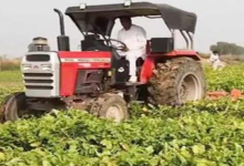 Photo of  भिवानी में किसान ने ट्रैक्टर चलाकर एक करोड़ की फसल की नष्ट