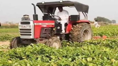 Photo of भिवानी में किसान ने ट्रैक्टर चलाकर एक करोड़ की फसल की नष्ट