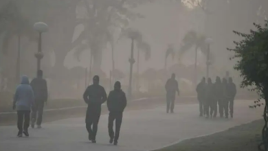 Photo of मध्य प्रदेश के पुराने बांधों की होगी जांच, जलसंसाधन मंत्री ने दिए निर्देश